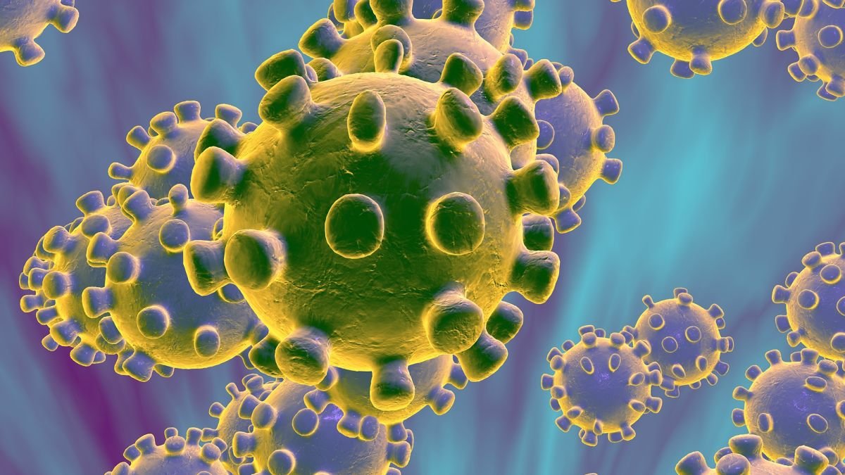 Coronavirus: la I Guerra Mundial del siglo XXI