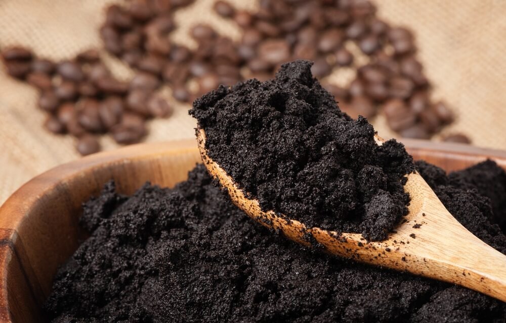 Usa los restos del café como abono para tus plantas