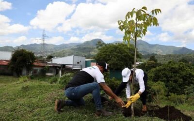 Grupo INS siembra 100 árboles en el marco de su centenario